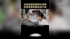 正在20日下战书召开的商务部例行旧事发布会